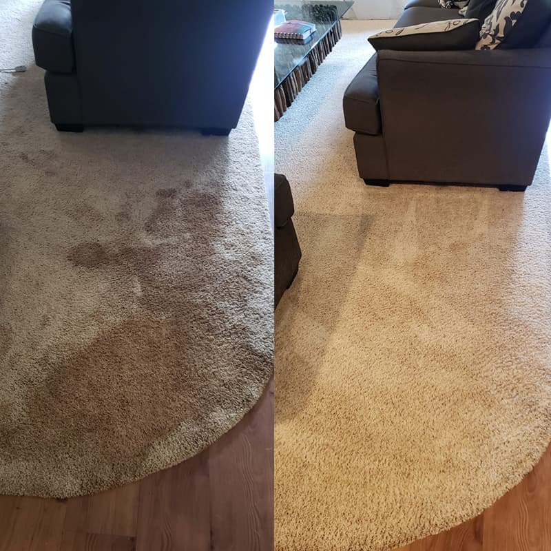 Carpet Cleaning