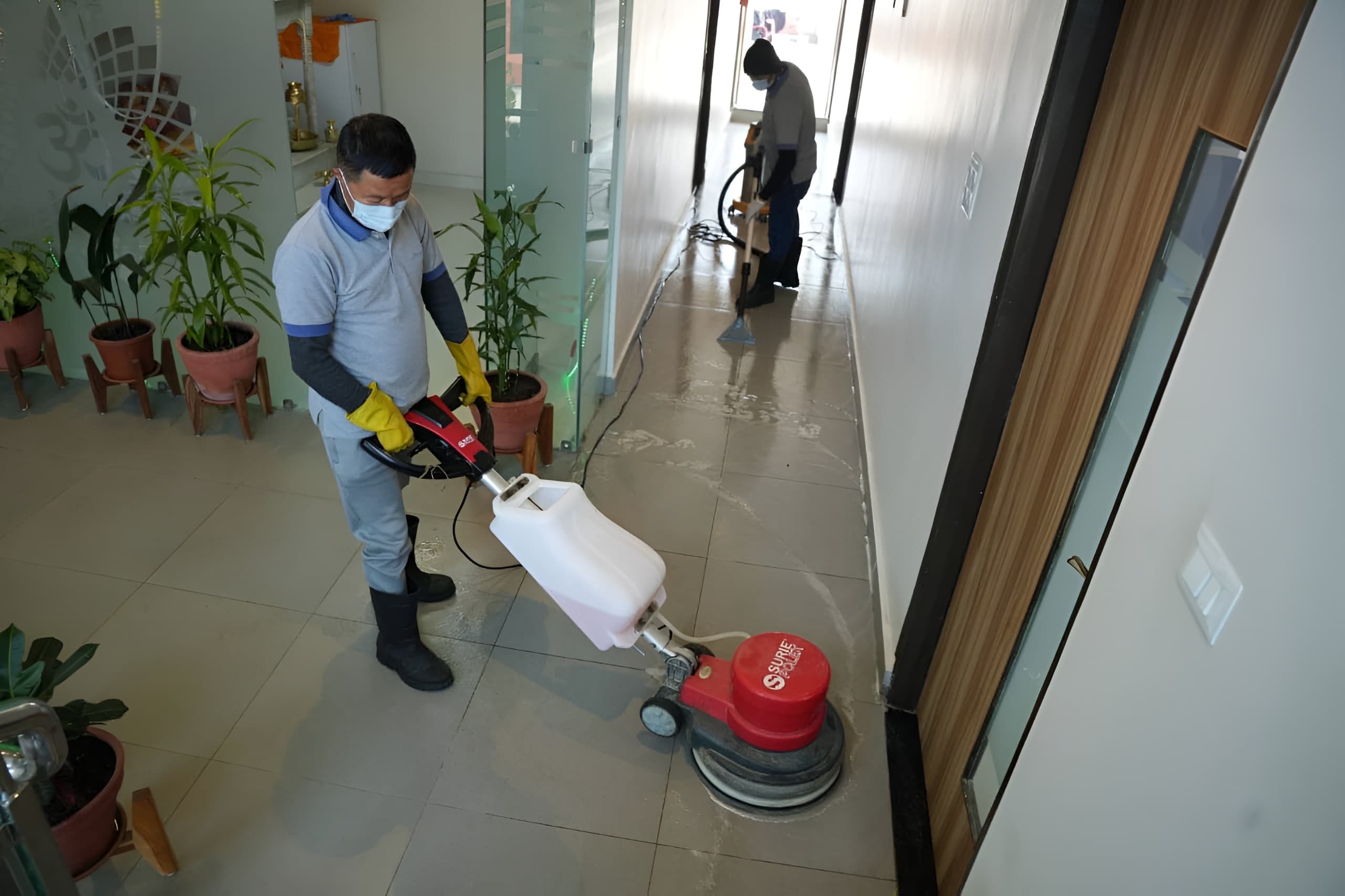 Professional Cleaning Service